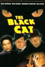 Watch The Black Cat Vidbull