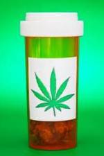Watch Medicinal Cannabis and its Impact on Human Health Vidbull