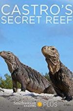 Watch Castro\'s secret reef Vidbull