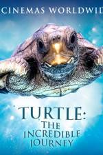 Watch Turtle The Incredible Journey Vidbull