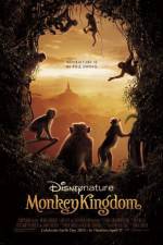 Watch Monkey Kingdom Vidbull