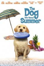 Watch The Dog Who Saved Summer Vidbull