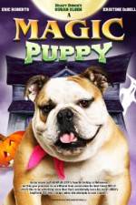 Watch A Halloween Puppy Vidbull