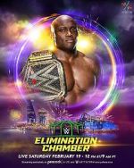 Watch WWE Elimination Chamber (TV Special 2022) Vidbull