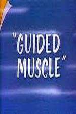 Watch Guided Muscle Vidbull