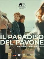 Watch Il paradiso del pavone Vidbull