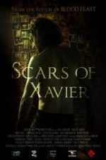 Watch Scars of Xavier Vidbull