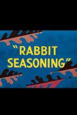 Watch Rabbit Seasoning Vidbull