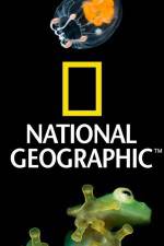 Watch National Geographic Wild Dam Beavers Vidbull
