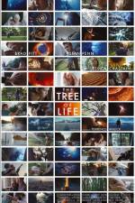 Watch The Tree of Life Vidbull