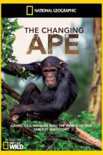 Watch National Geographic - The Changing Ape Vidbull