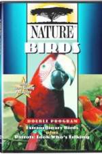 Watch PBS Nature - Extraordinary Birds Vidbull