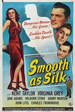Watch Smooth as Silk Vidbull