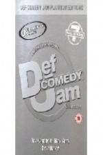 Watch Def Comedy Jam - All Stars - Vol.7 Vidbull