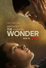 Watch The Wonder Vidbull