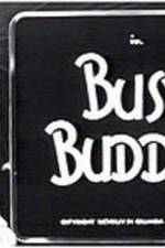 Watch Busy Buddies Vidbull