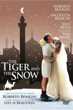 Watch The Tiger And The Snow Vidbull