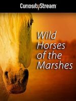 Watch Wild Horses of the Marshes Vidbull