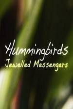 Watch Hummingbirds Jewelled Messengers Vidbull