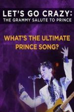 Watch Let\'s Go Crazy: The Grammy Salute to Prince Vidbull