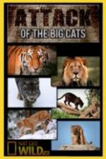 Watch National Geographic Attack Of The Big Cats Vidbull