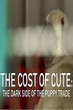 Watch The Cost of Cute: The Dark Side of the Puppy Trade Vidbull