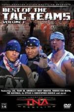 Watch TNA Wrestling Best of Tag Teams Vol 1 Vidbull