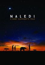 Watch Naledi: A Baby Elephant\'s Tale Vidbull