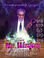 Watch The Mysterious Mr. Wizdom Vidbull