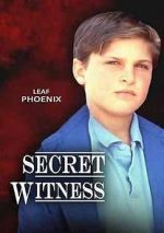 Watch Secret Witness Vidbull