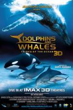 Watch Dolphins and Whales 3D Tribes of the Ocean Vidbull