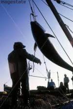 Watch National Geographic: Cheating Death Tuna Cowboys Vidbull