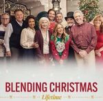 Watch Blending Christmas Vidbull