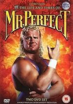 Watch The Life and Times of Mr. Perfect Vidbull