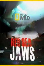 Watch National Geographic Red Sea Jaws Vidbull