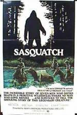 Watch Sasquatch the Legend of Bigfoot Vidbull