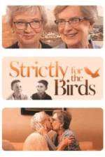 Watch Strictly for the Birds Vidbull