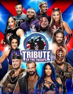 Watch WWE Tribute to the Troops Vidbull