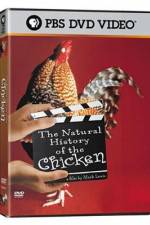 Watch The Natural History of the Chicken Vidbull