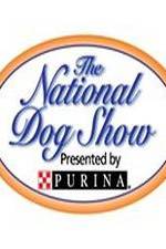 Watch National Dog Show Vidbull