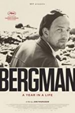 Watch Bergman: A Year in the Life Vidbull