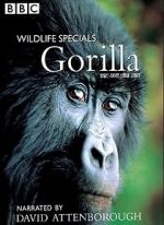 Watch Gorilla Revisited with David Attenborough Vidbull