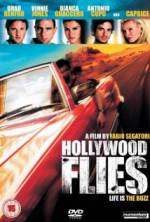 Watch Hollywood Flies Vidbull