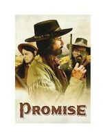 Watch Promise Vidbull