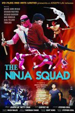 Watch The Ninja Squad Vidbull