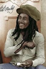 Watch Bob Marley and the Wailers: The Bob Marley Story Vidbull