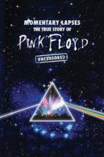 Watch Pink Floyd: Momentary Lapses - The True Story Of Pink Floyd Vidbull