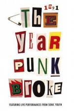 Watch 1991 The Year Punk Broke Vidbull
