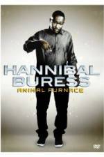 Watch Hannibal Buress Animal Furnace Vidbull