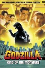 Watch Godzilla King of the Monsters Vidbull